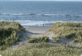 wp7656d4b9_0f.jpg
